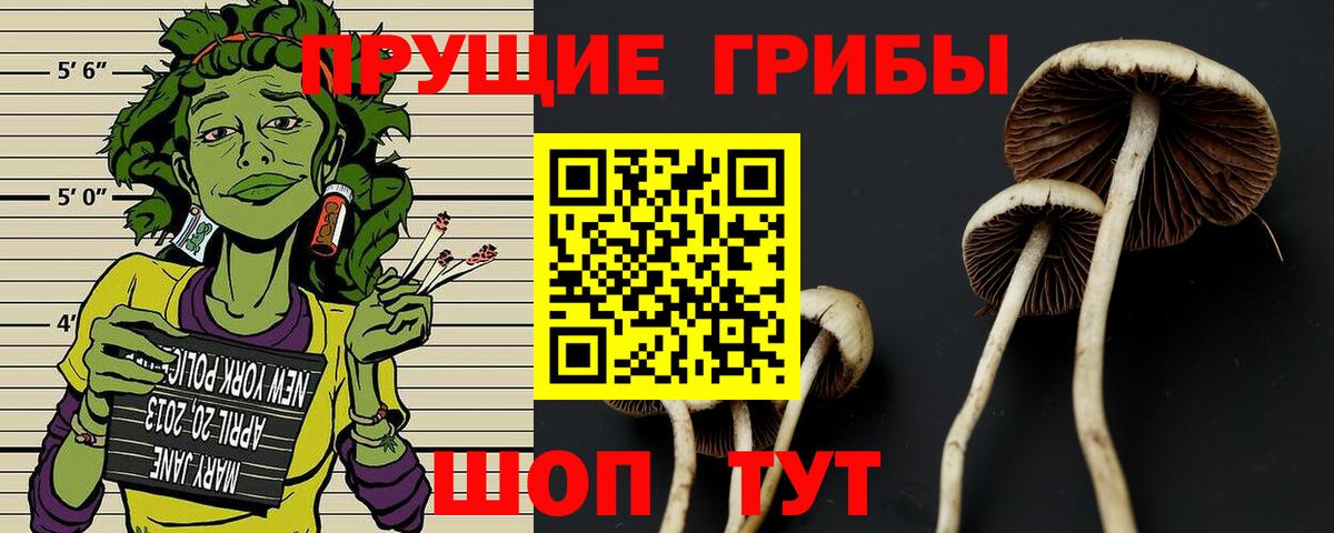 закладка  Вход с VPN  Усинск  Галлюциногенные грибы GOLDEN TEACHER 